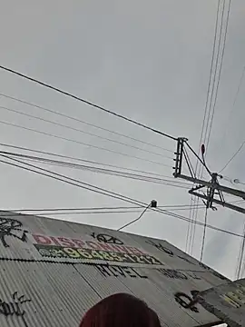 RuivaMisteriosa3 online show from January 18, 12:12 pm