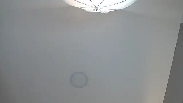 VenusBlazer online show from January 18, 2:24 pm