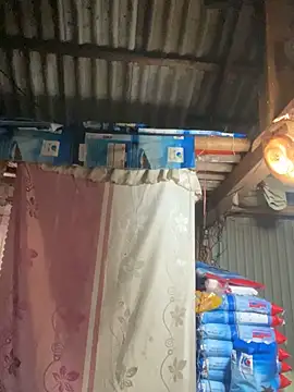 PhanHaa online show from November 12, 12:41 am