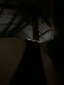 PhanHaa online show from February 19, 2:00 am