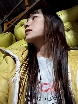 Mini3333 online show from November 25, 11:12 am