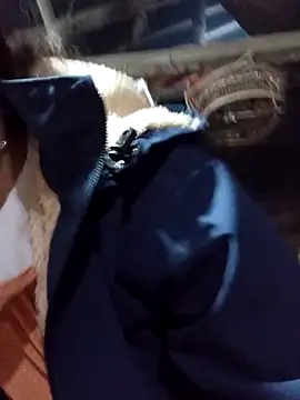  Helala  online show from November 24, 12:01 am