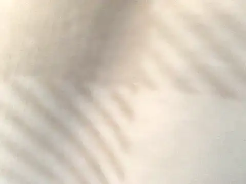 Tishrella6 online show from September 11, 7:25 pm