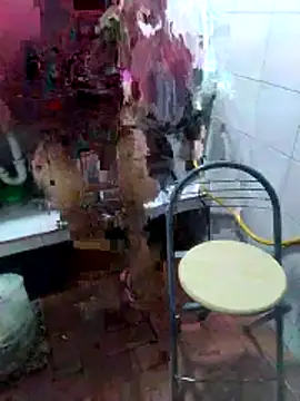 teilor dreamse online show from December 23, 12:25 am