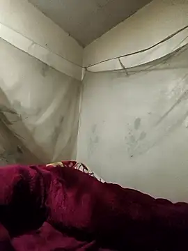 siki-00 online show from January 7, 2:53 pm