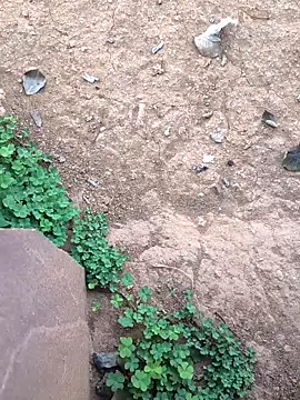 Ag punam online show from February 10, 2:14 am