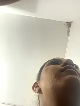 SienaWild online show from November 26, 3:18 am