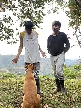 sky-wolves online show from October 1, 10:37 pm