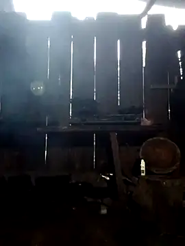 donna-bae online show from October 3, 11:10 pm