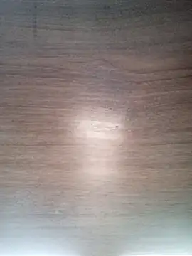 ValeriaLove43211 online show from March 5, 2:02 pm