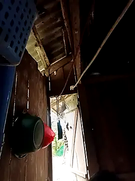 callistra online show from October 31, 12:34 am