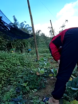 diamond-- online show from October 27, 12:39 am