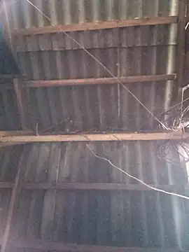 vtmbae online show from November 2, 1:09 am