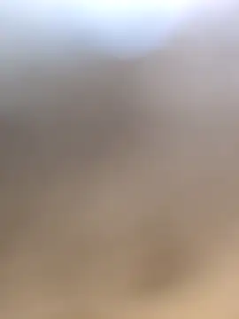 Co punam online show from February 2, 5:06 am