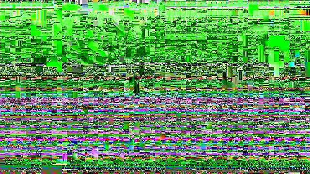 Winginglifetl online show from February 7, 1:20 am