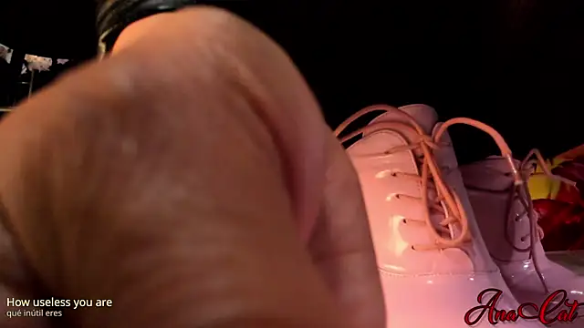 ana cat online show from September 16, 2:47 pm