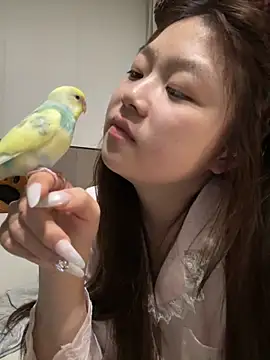 xiaojingzi66 online show from April 28, 5:17 pm