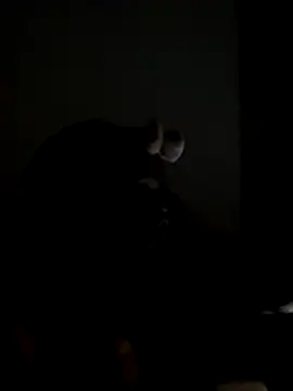 cookietyx online show from January 6, 5:49 pm