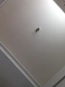 sanjana077 online show from February 5, 7:11 am