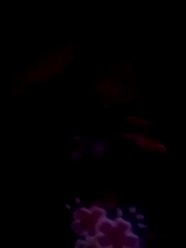 jacka 305 online show from February 13, 12:23 am