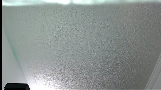 Little-rouse online show from November 30, 2:32 pm