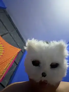 aricub online show from December 16, 1:00 am