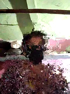 Anita-Dube online show from February 2, 3:22 pm