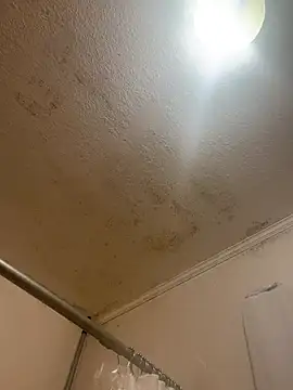 drods66999 online show from April 13, 8:37 am