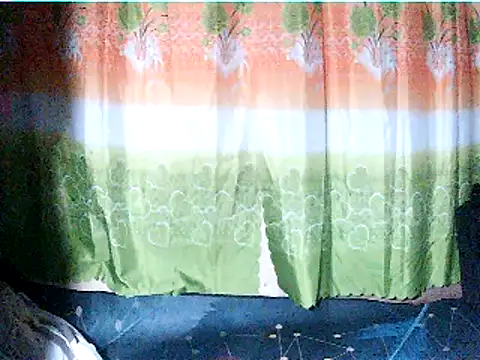 wildblaze 12 online show from December 3, 1:57 pm