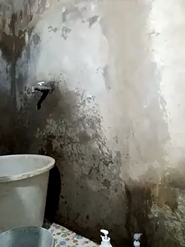 yula-bi online show from March 30, 11:10 am