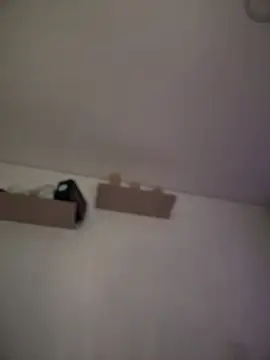 Soler magnet online show from February 25, 2:15 pm