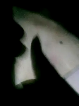 him220 online show from January 16, 1:07 pm