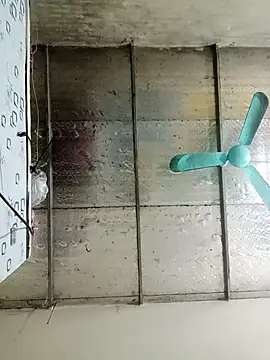 Sana-vn online show from February 4, 1:36 pm