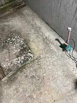 joel852 online show from April 1, 10:29 pm