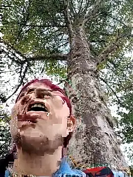 Tamara gomex online show from January 8, 1:26 pm