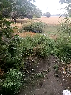 Shivanisingh4 online show from March 27, 7:32 am