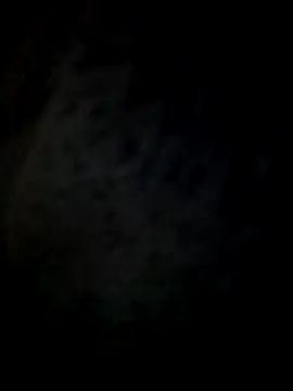 wandye online show from April 12, 2:47 am