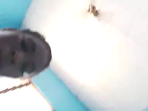 bigassx468 online show from March 5, 10:55 am