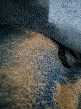 dollpum online show from March 4, 9:54 pm