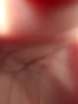 Paradice7 online show from April 8, 9:28 pm