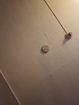 Shirley0810 online show from April 2, 11:35 pm