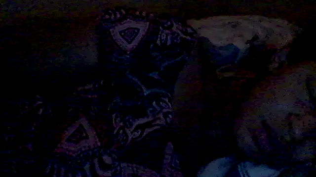 lorraine2036 online show from February 17, 3:00 pm