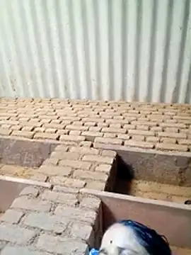 Lucky couple-1 online show from April 19, 8:25 am