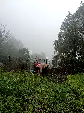 baby 112233 online show from February 2, 12:42 am