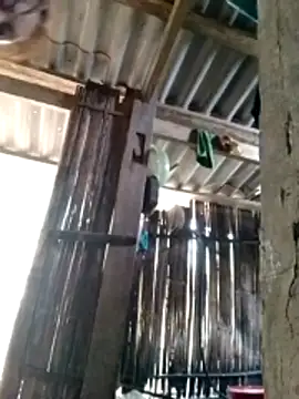 Nhoccon90 online show from March 2, 12:43 am