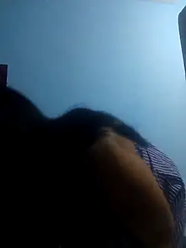 lapatronav2026 online show from March 27, 9:21 am