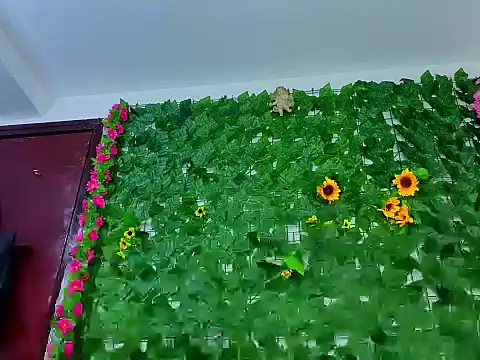 asshoney Abby online show from April 10, 6:52 am