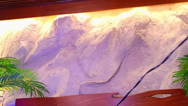 Barbiie black online show from March 30, 4:17 pm