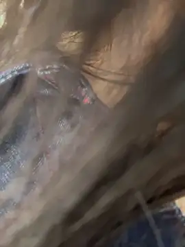 kara-tt online show from April 5, 3:05 am