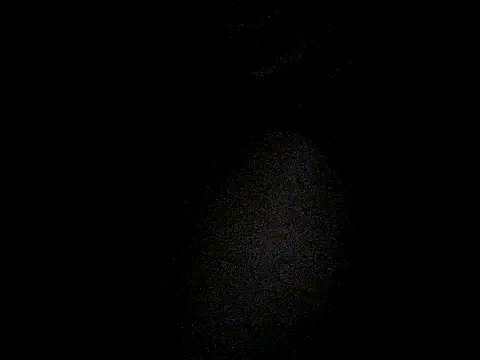 PrimBee online show from April 8, 4:47 am